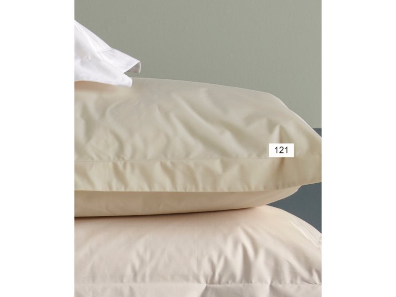 KENTIA True Col 121 Σεντόνι Υπέρδιπλο Μεμονωμένο Ecru 240 χ 270 0019876 KENTIA True Col 121 Σεντόνι Υπέρδιπλο Μεμονωμένο Ecru 240 χ 270 0019876